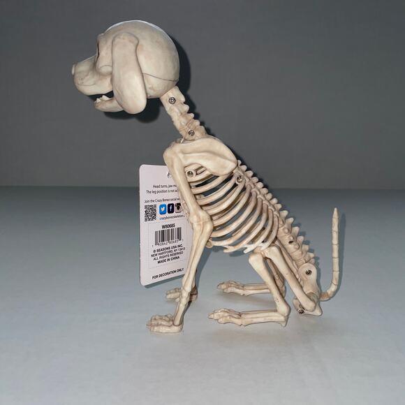 8" SITTING PUPPY DOG SKELETON SPOOKY BONEZ DEAD ANIMAL PROP DECORATION NEW - Picture 4 of 6